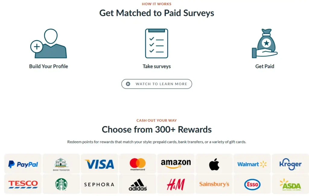 Branded-Surveys-how-it-works